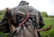 HM Environment/Nature: Erica Yoon, Roanoke Times--The claws of a turkey stick out from Steve DavenportÕs sack after he shot it during a hunt on April 5, 2015. The 10th annual Gunnin' for Gobblers event, sponsored by the Bedford Outdoor Sportsman Association, sent 44 hunters into the fields across Bedford County. GunninÕ for Gobblers is held each year during spring turkey season to give physically disabled hunters the opportunity to spend a morning looking through a scope with the assistance of BOSA members. Davenport served as a guide.
